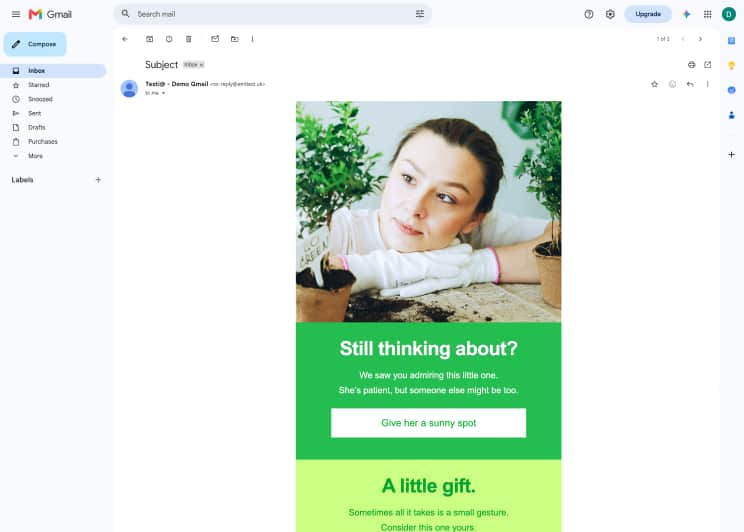 Promotional email template in Gmail