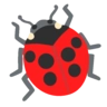 some image
